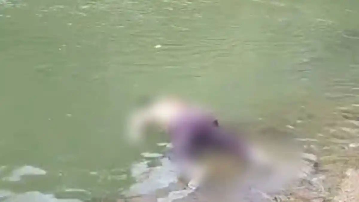 Penemuan Jenazah di Batang Agam Limapuluh Kota, Berawal dari Laporan Warga dan Santri